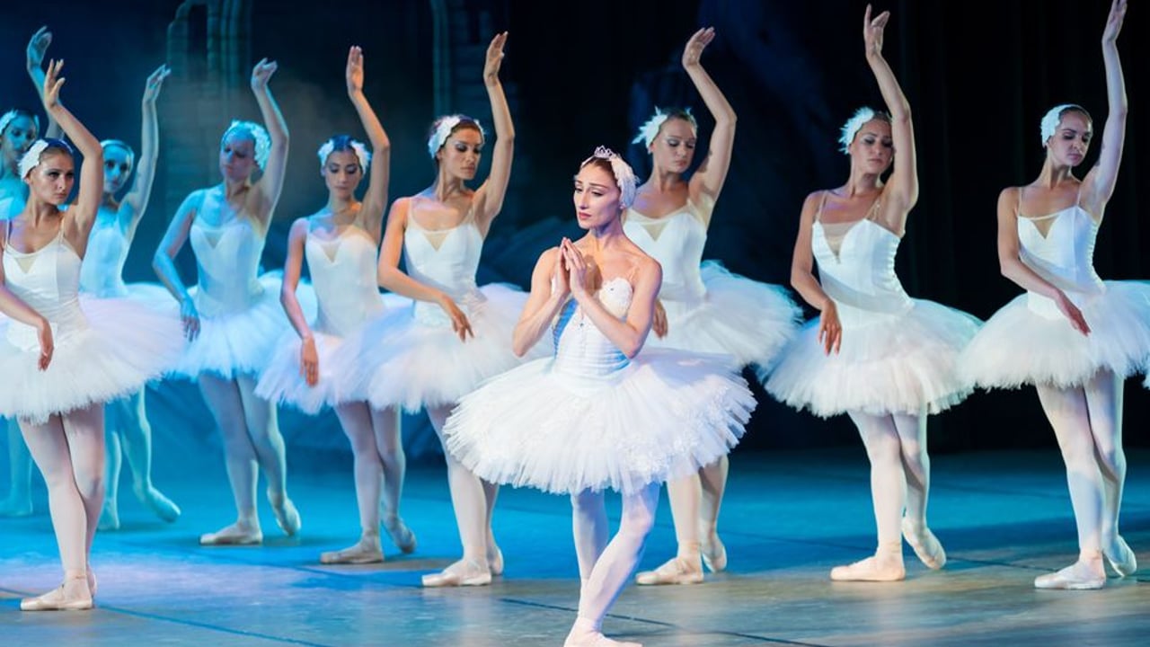 Winter Showcase 26